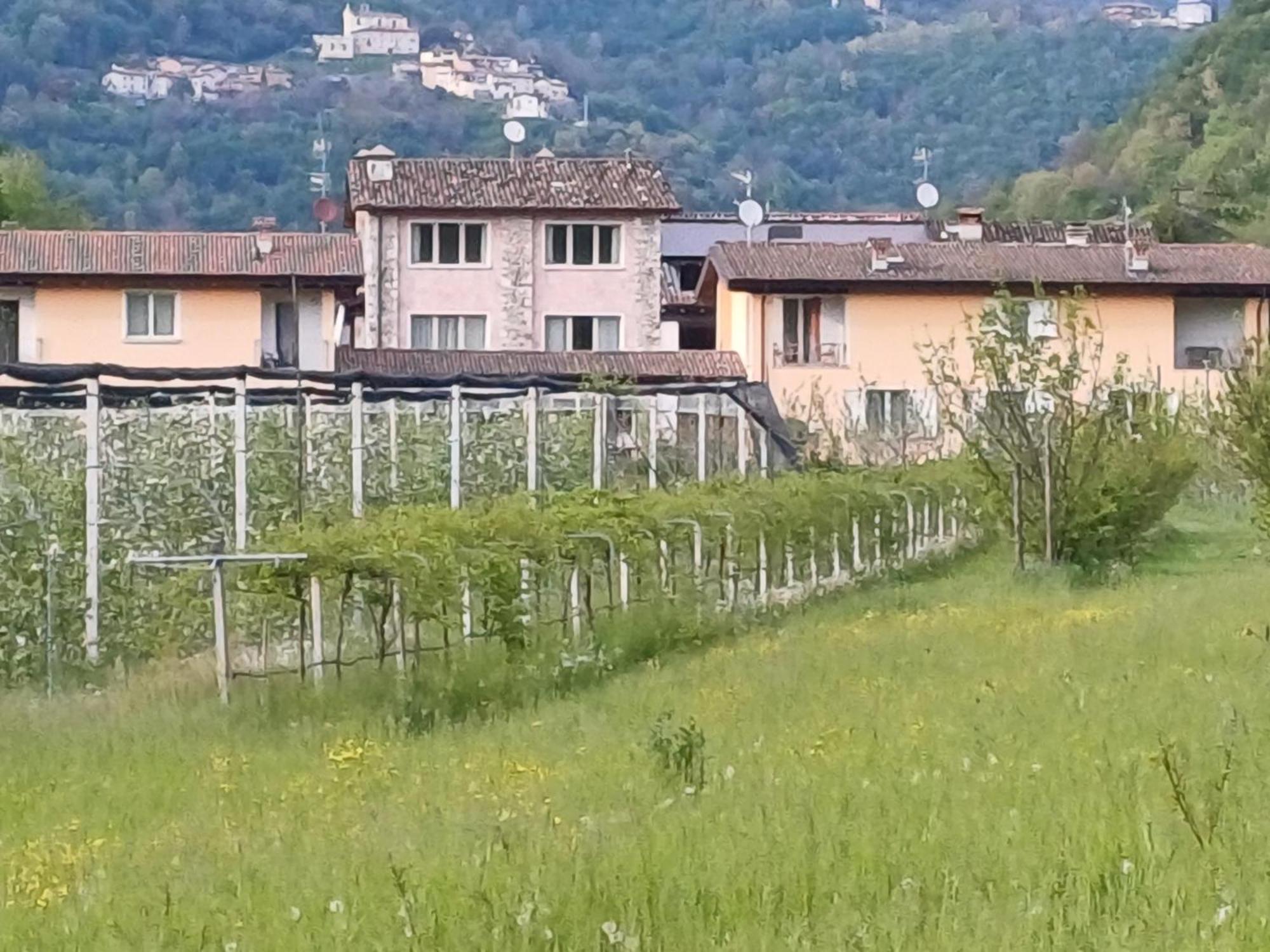 Villanuova sul clisi Cascina Legnago Bilocale A 6 Chilometri Da Salo' 아파트 외부 사진