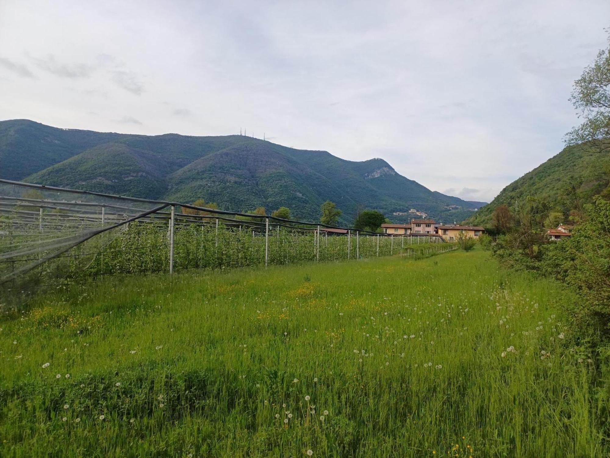 Villanuova sul clisi Cascina Legnago Bilocale A 6 Chilometri Da Salo' 아파트 외부 사진