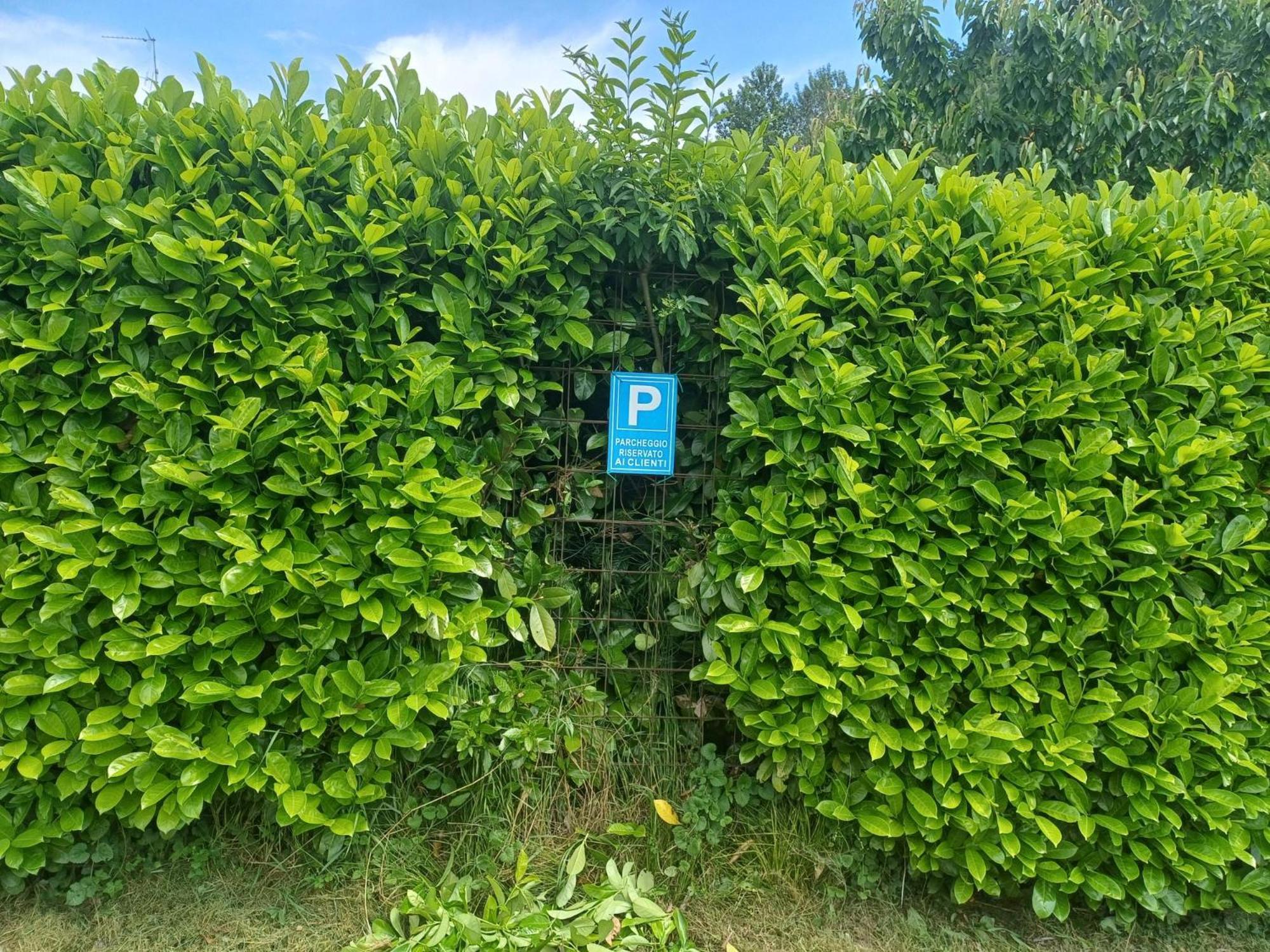Villanuova sul clisi Cascina Legnago Bilocale A 6 Chilometri Da Salo' 아파트 외부 사진