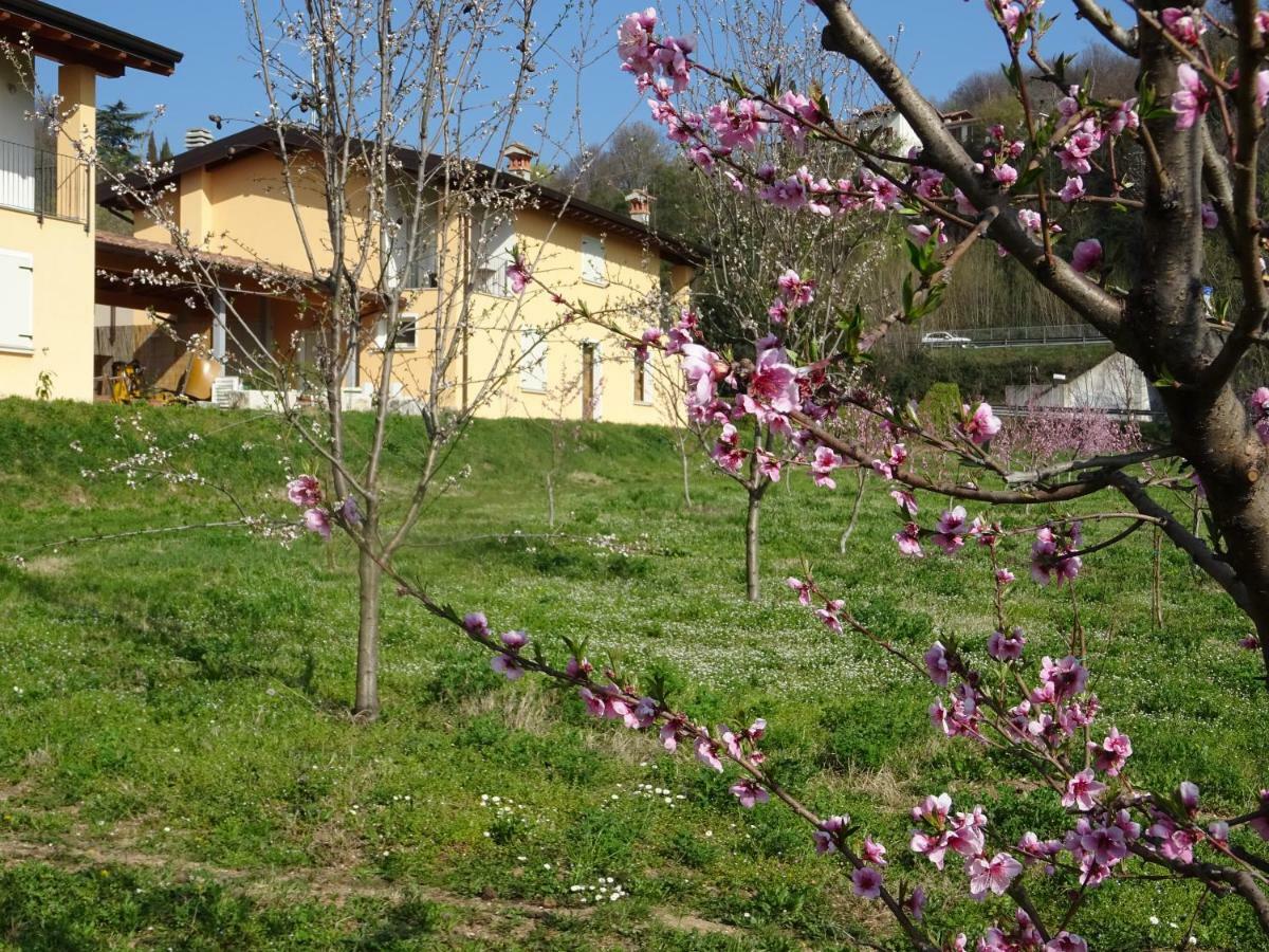 Villanuova sul clisi Cascina Legnago Bilocale A 6 Chilometri Da Salo' 아파트 외부 사진